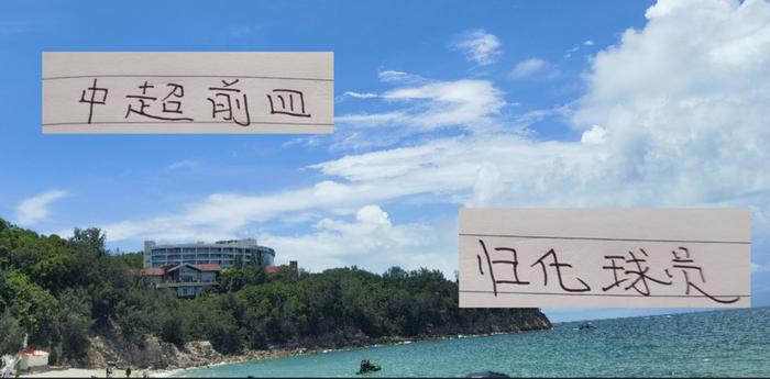 开云APP-中超前 4 归化球员 还是北京国安塞鸟 表现最帅